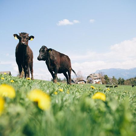 Alpin Farm Linde - Oberweidacherhof Collalbo Eksteriør billede