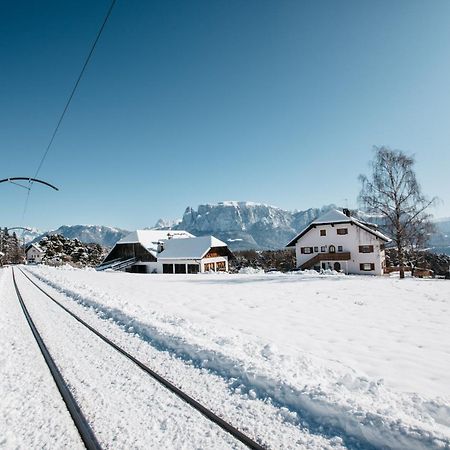 Alpin Farm Linde - Oberweidacherhof Collalbo Eksteriør billede