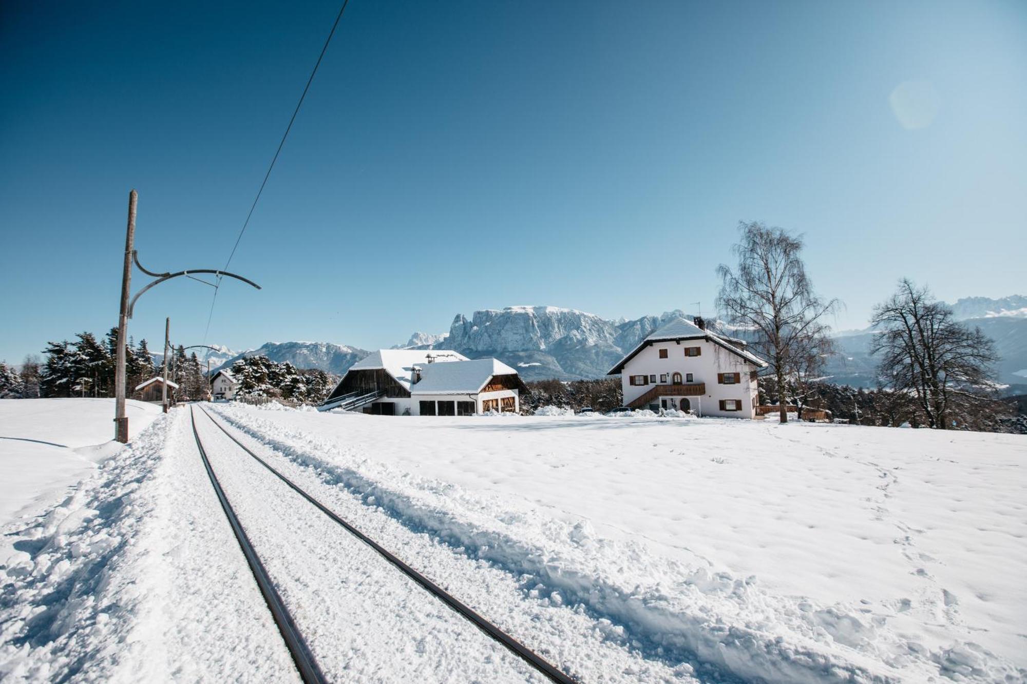 Alpin Farm Linde - Oberweidacherhof Collalbo Eksteriør billede